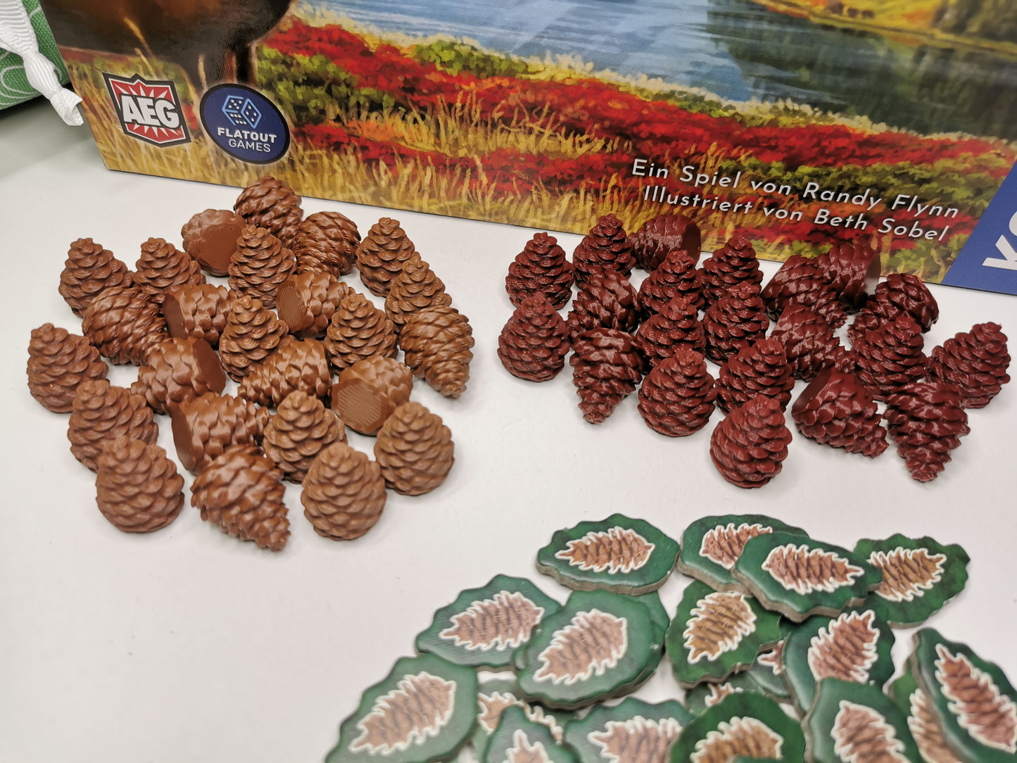 Kiefernzapfen, Pinienzapfen