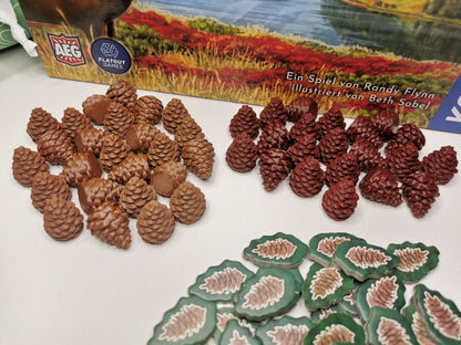 Kiefernzapfen, Pinienzapfen