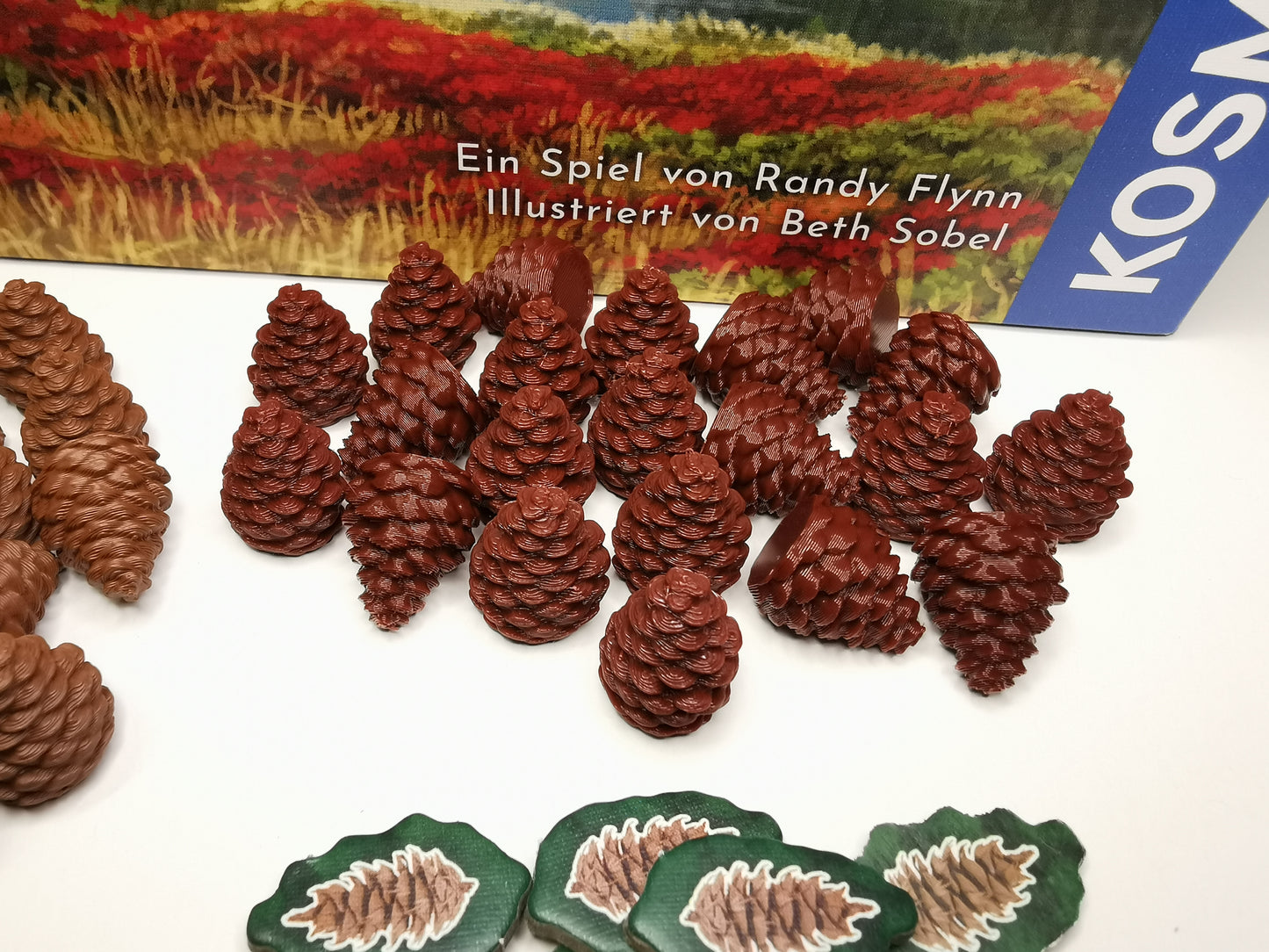 Kiefernzapfen, Pinienzapfen