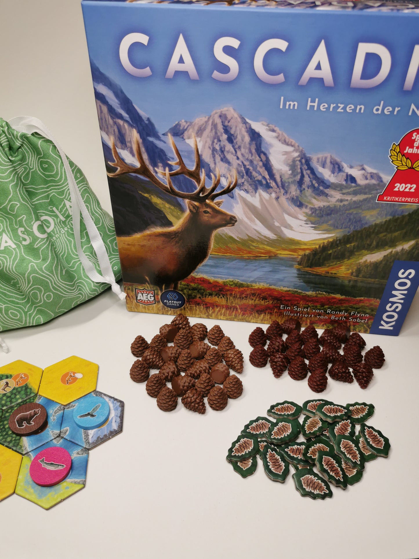 Kiefernzapfen, Pinienzapfen