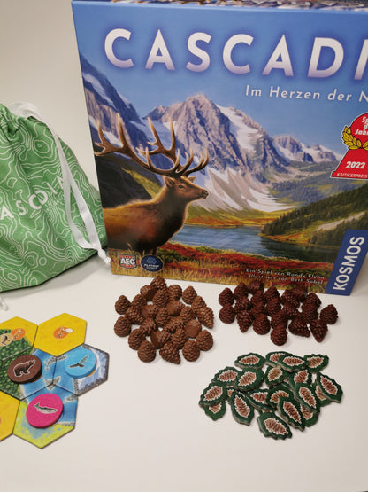 Kiefernzapfen, Pinienzapfen