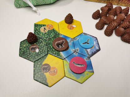 Kiefernzapfen, Pinienzapfen