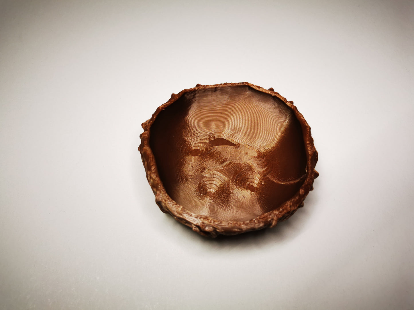 Nest für Eier