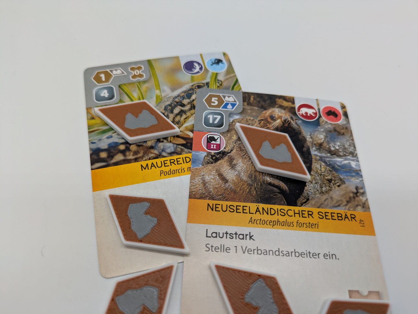 Felsen-Token und Wasser-Token